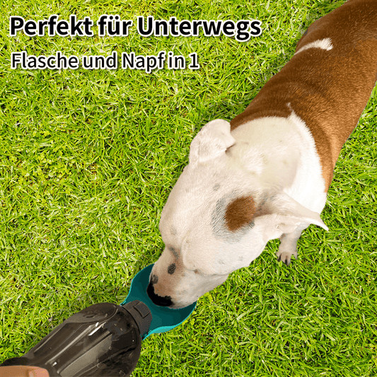 Aquafast - Innovative Reise-Trinkflasche für Hunde