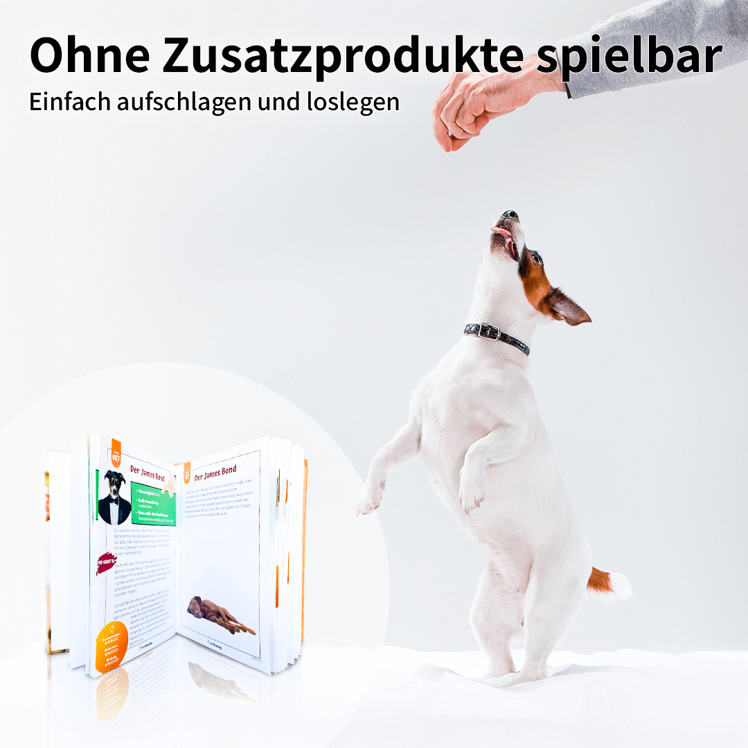 E-Book: schlaudog's Kunststückfibel digital