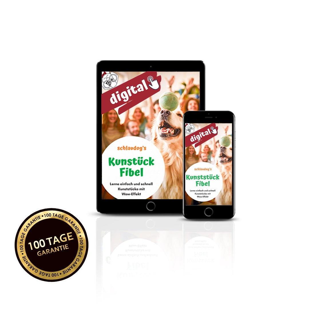 E-Book: schlaudog's Kunststückfibel digital