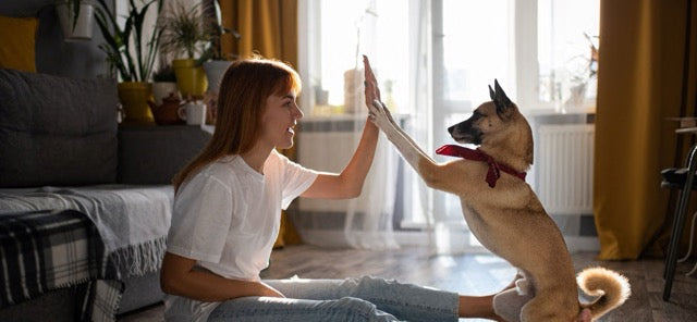 Rosi übt den High Five aus der schlaudog Kusntstückfibel
