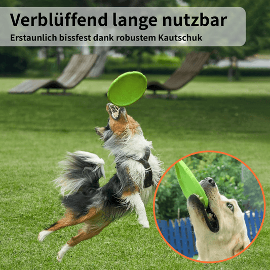 schlaudog Hundefrisbee - langlebige Wurffrisbee für aktive Hunde