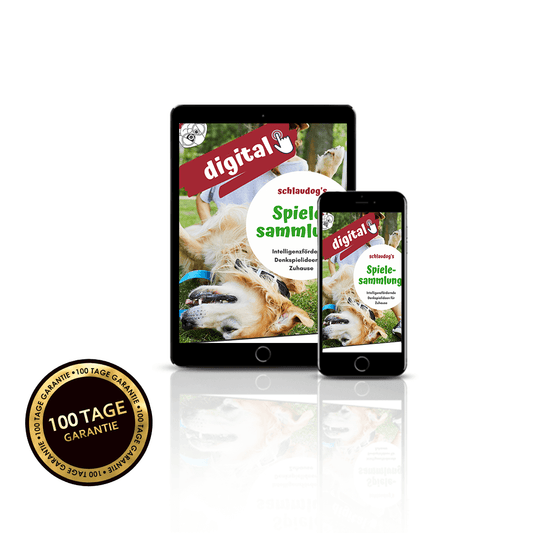 E-Book: schlaudog´s Spielesammlung digital