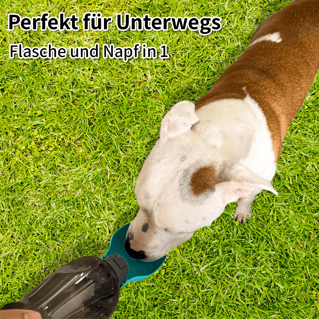 Aquafast - Innovative Reise-Trinkflasche für Hunde