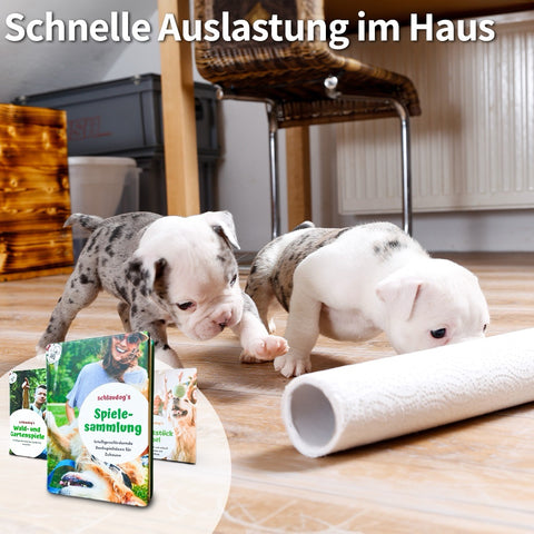 schlaudog Kollektion - artgerechte Hunde-Auslastung in jeder Situation