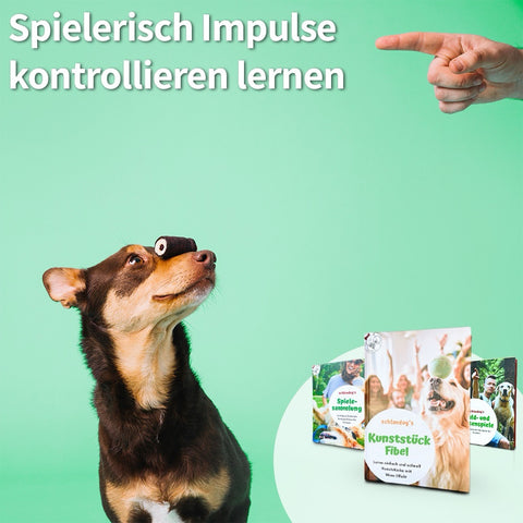 schlaudog Kollektion - artgerechte Hunde-Auslastung in jeder Situation