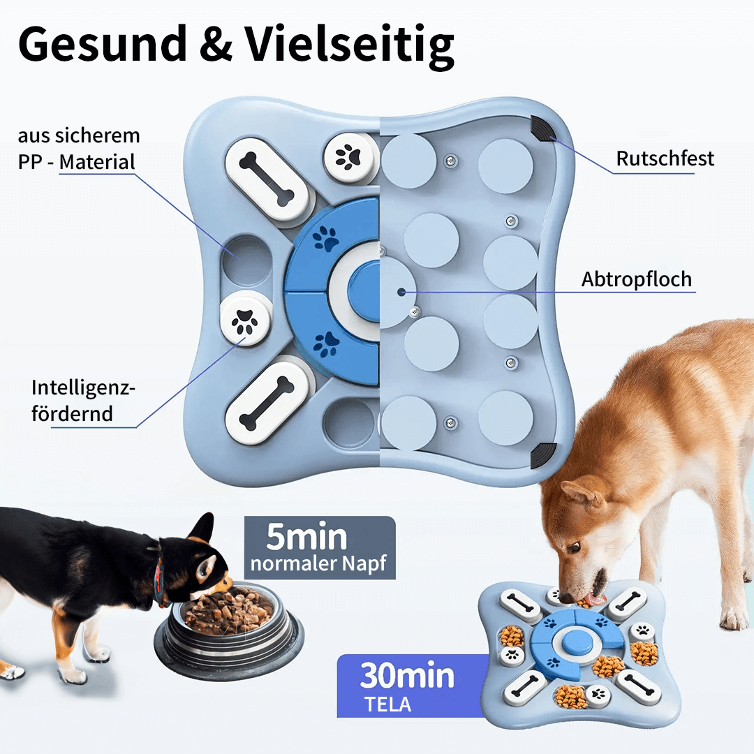 TELA Hunderätzel - interaktives Intelligenzspielzeug