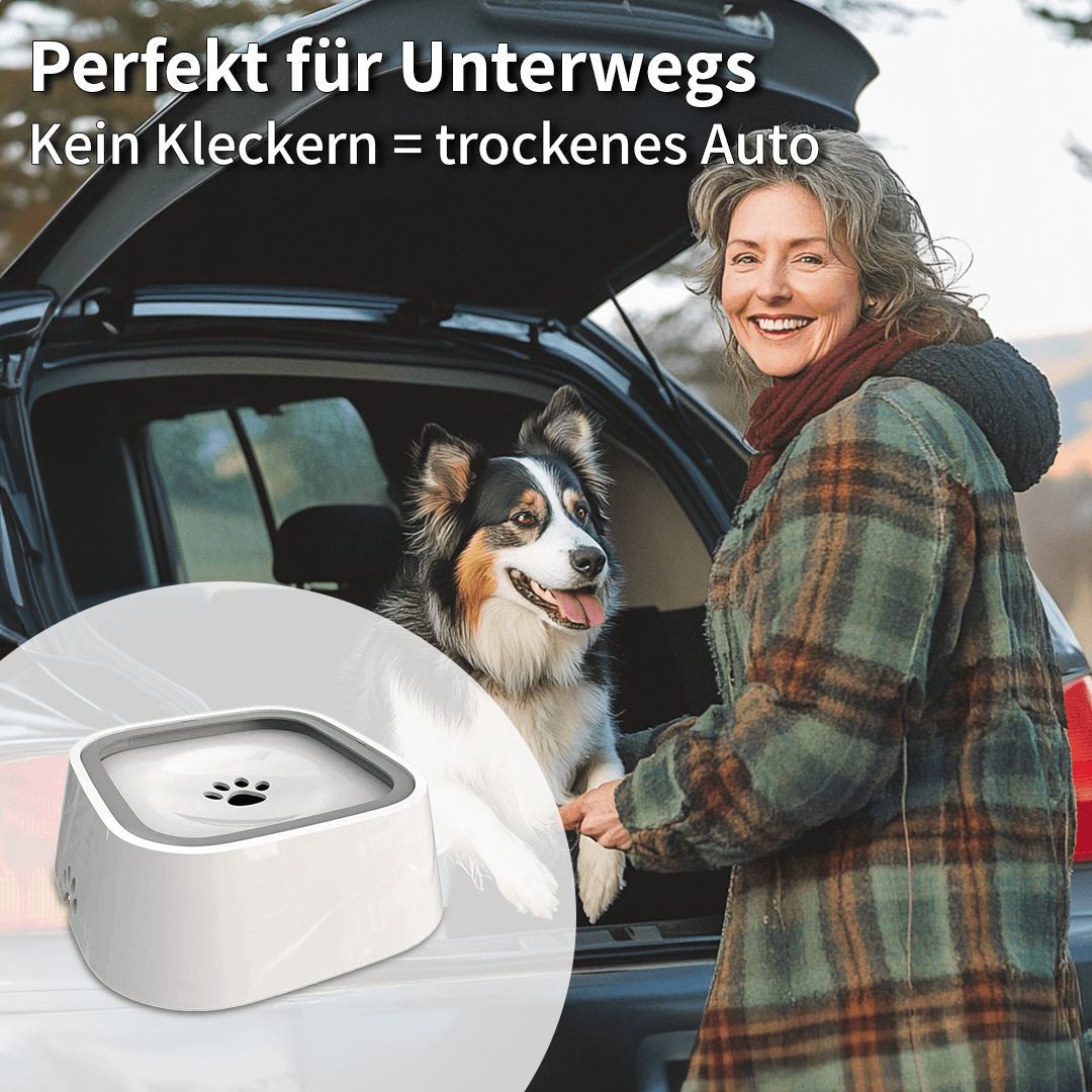 Vasi Wassernapf - Trinken ohne Kleckern