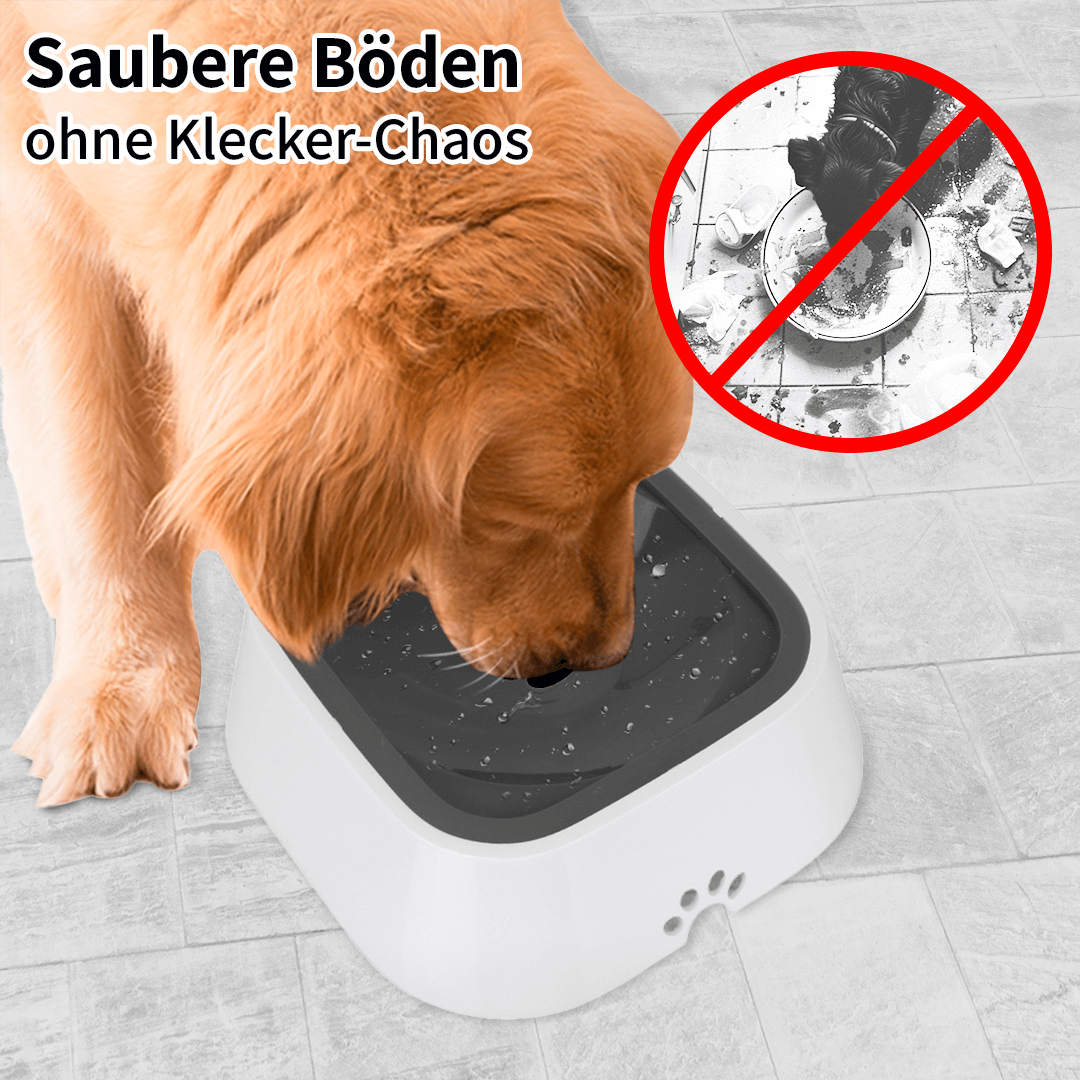 Vasi Wassernapf - Trinken ohne Kleckern