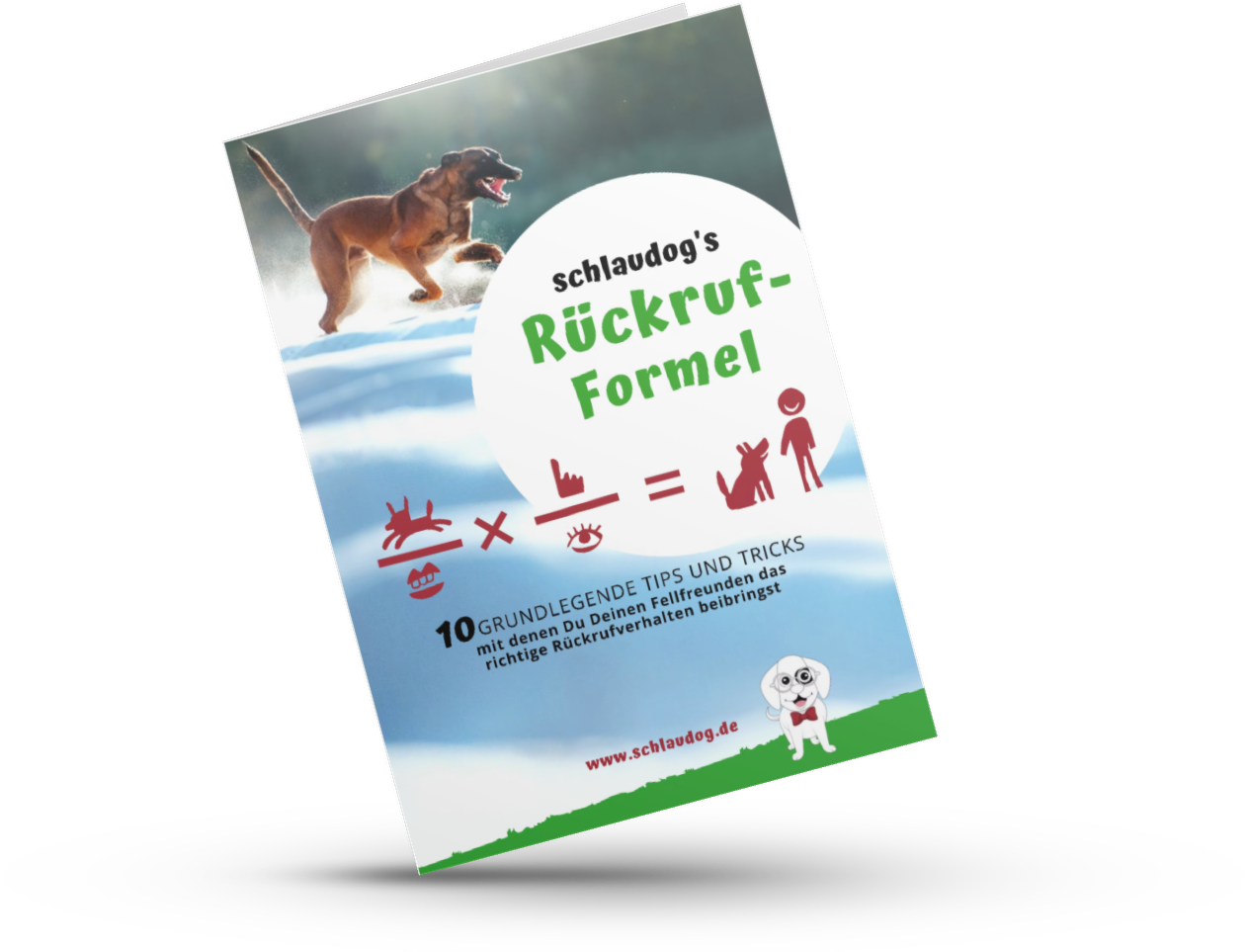 E-Book: schlaudog's Rückruf-Formel