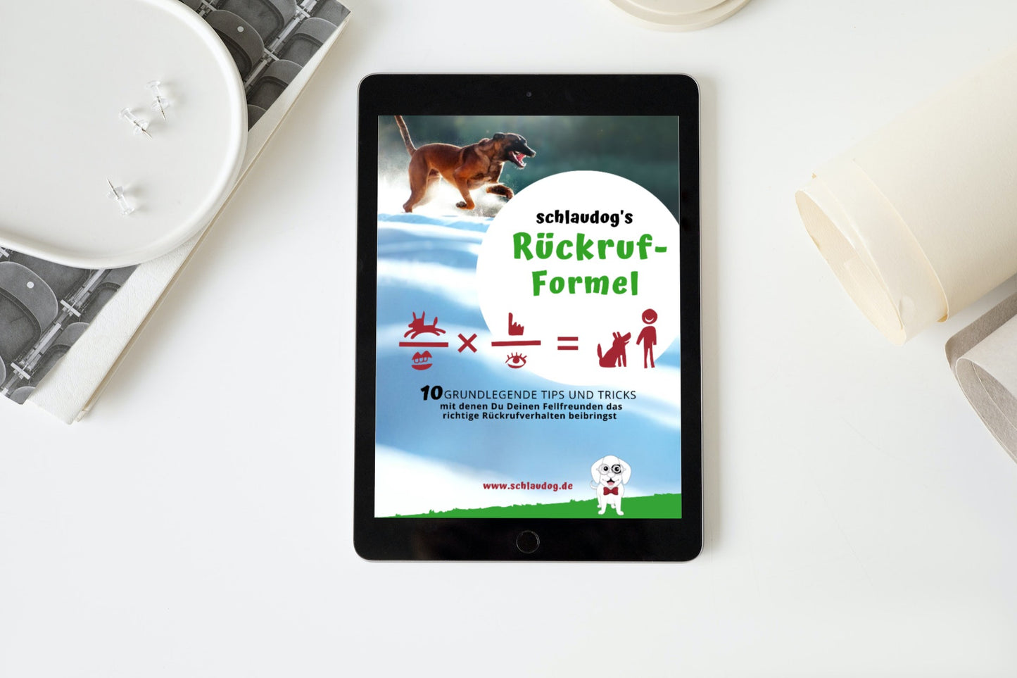 E-Book: schlaudog's Rückruf-Formel